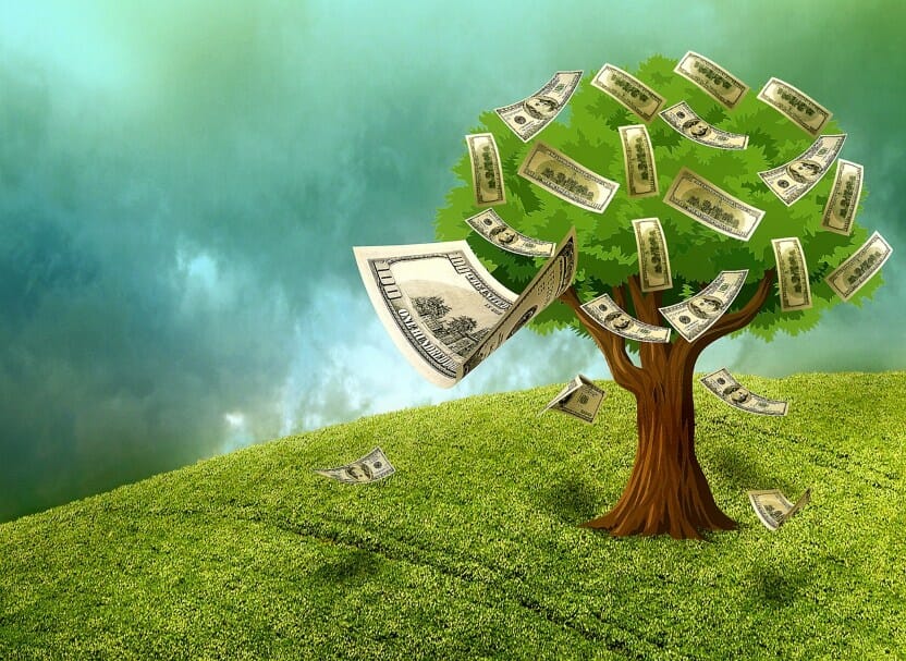 cash tree