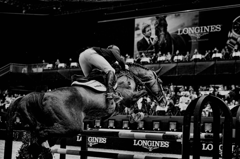showjumping-1716582_960_720